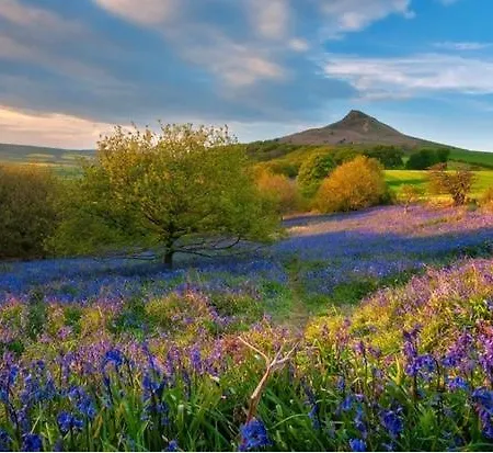 奥德旅馆 马尔顿